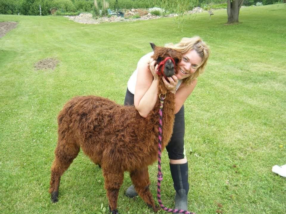 Alpaca Baby Doll Worsted - Grown in Wisconsin