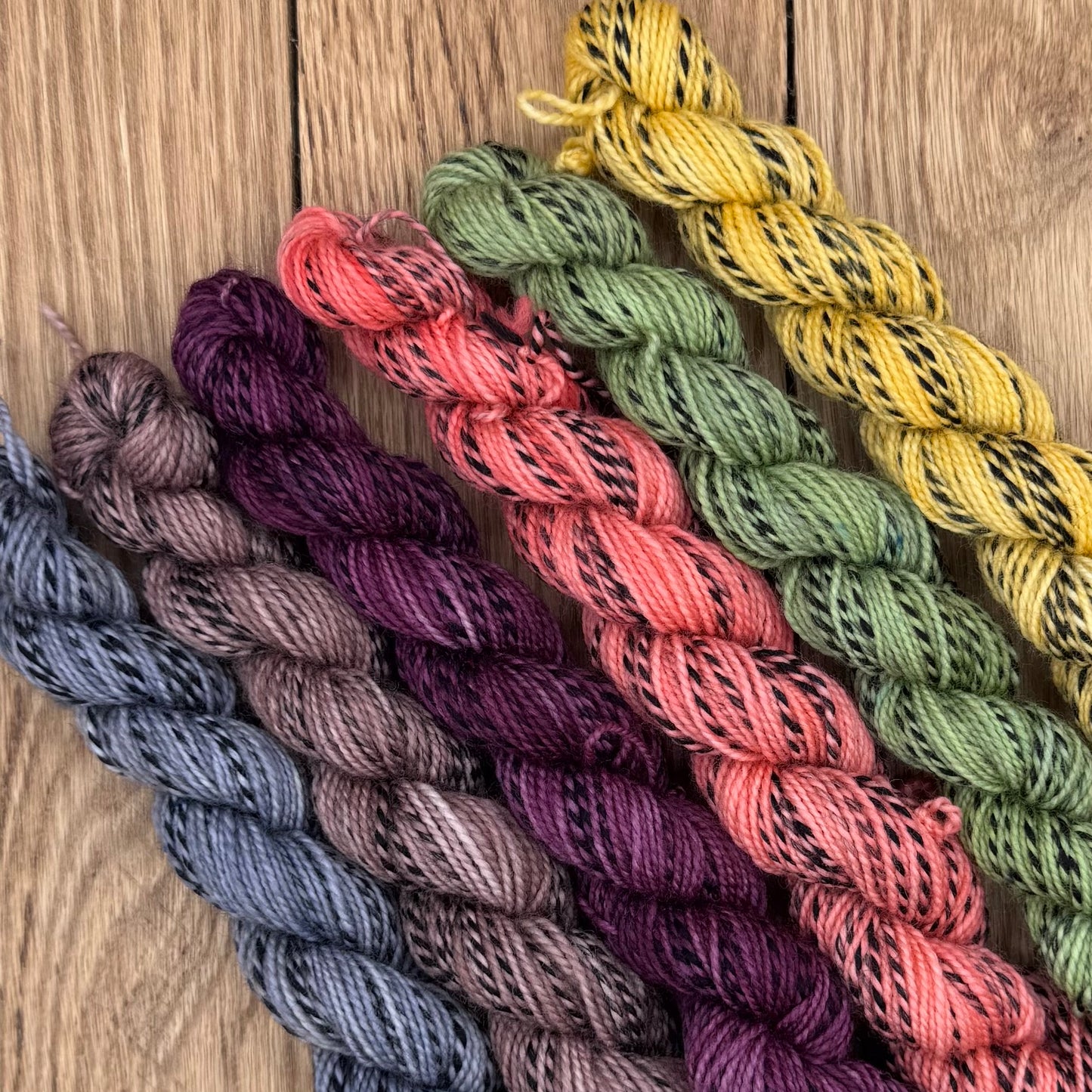 Fall Foliage - Zebra Fingering Mini Collection