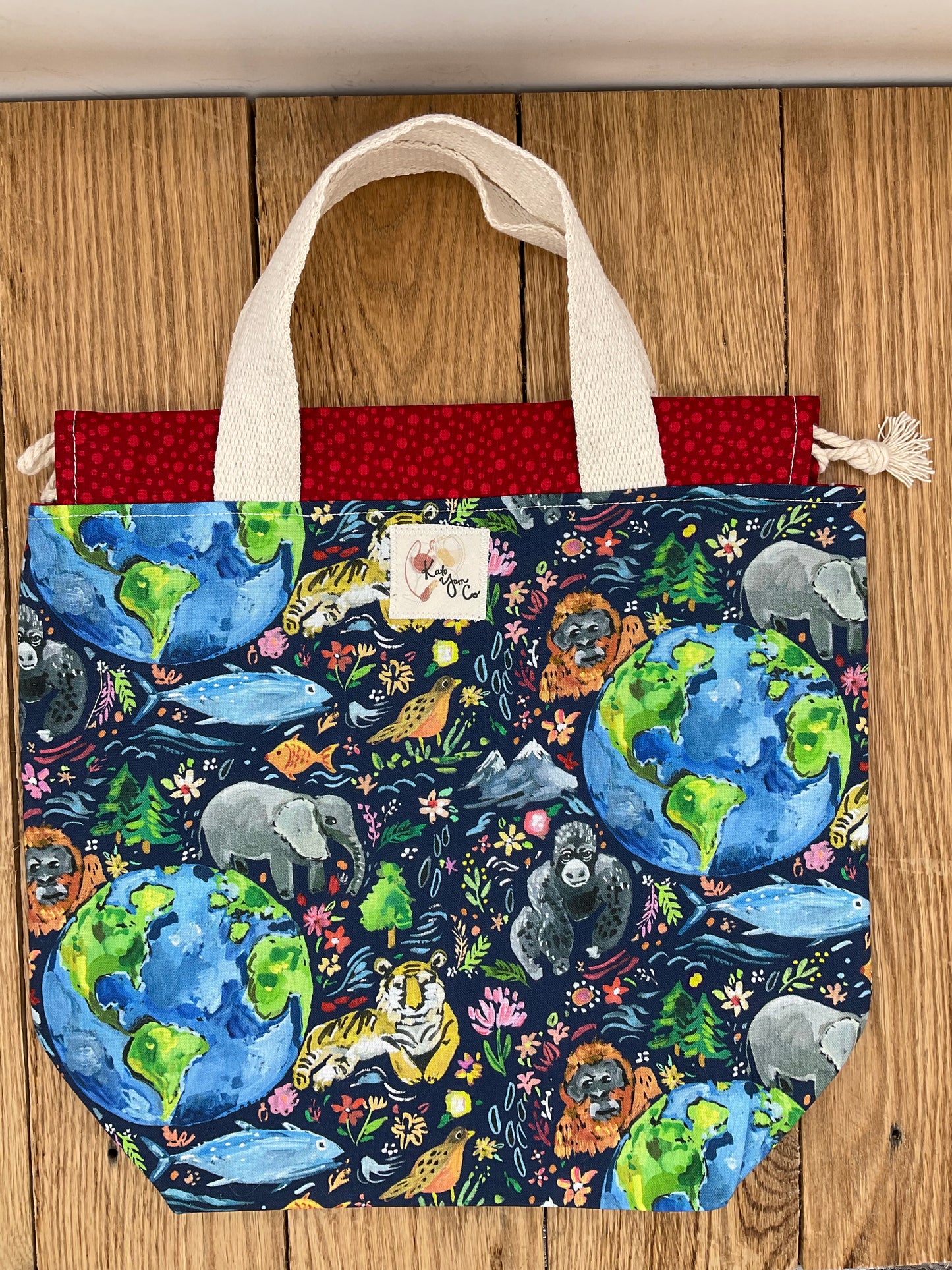 Earth - Project Bag